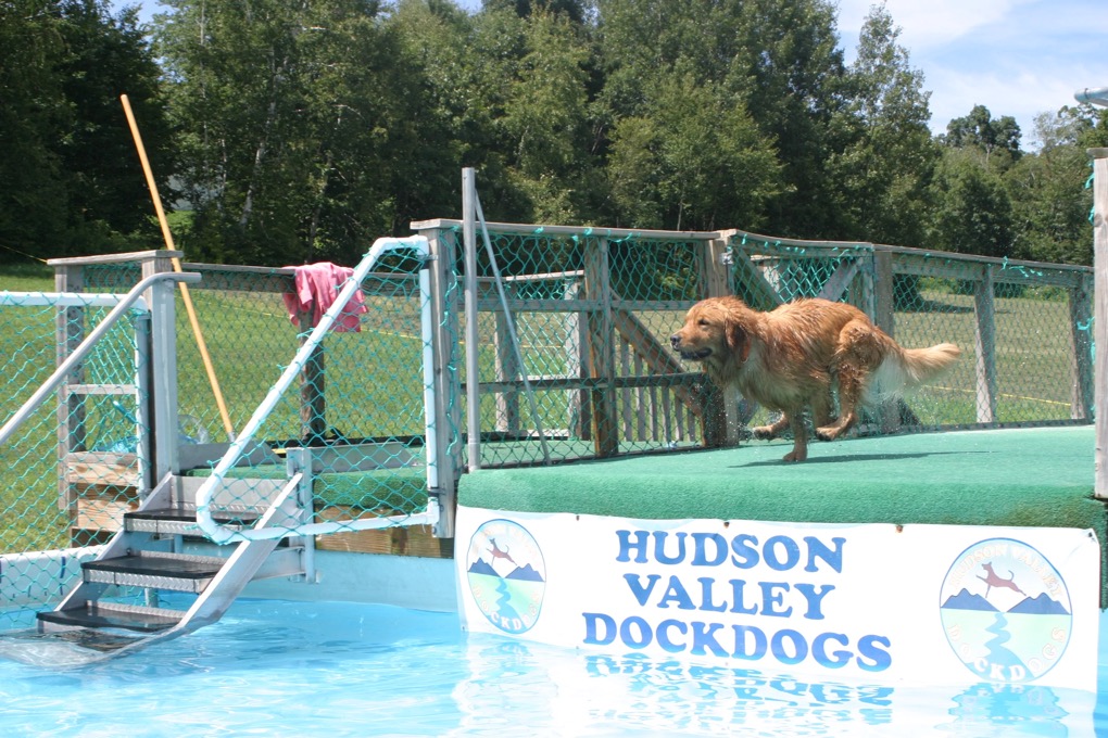 Dock Diving-web.webp